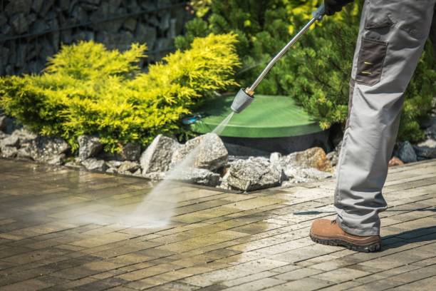 Best Pool Deck Cleaning  in Dover Base Housing, DE